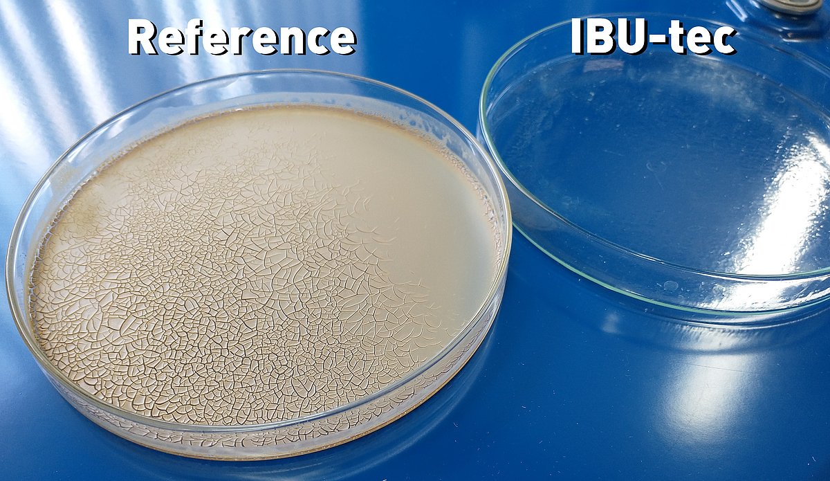 Matériau de protection UV ZnO ou oxyde de zinc d'IBU-tec Comparaison de la transparence