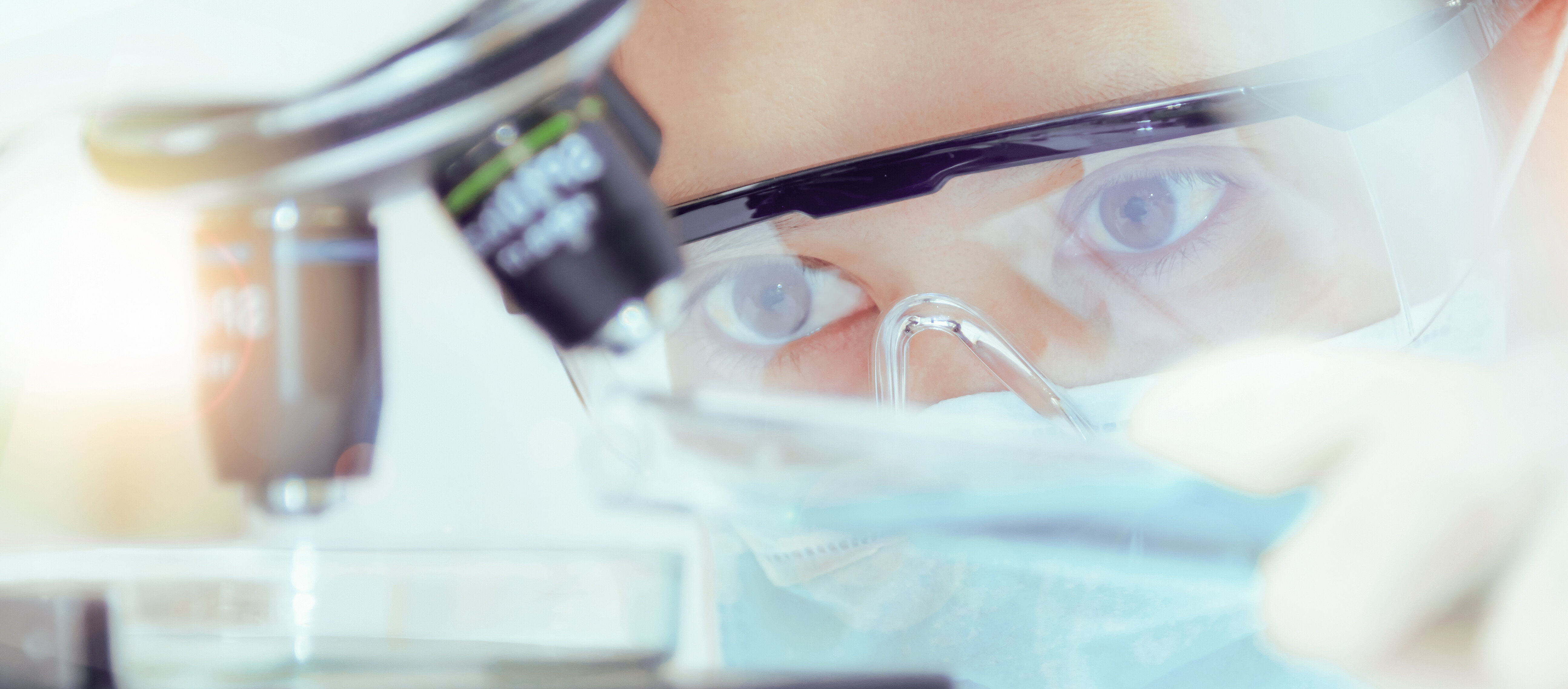 Assistant de laboratoire au microscope dans le laboratoire IBU-tec image