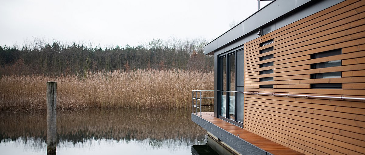 Péniche moderne près de Bitterfeld-Wolfen sur un beau lac avec des roseaux