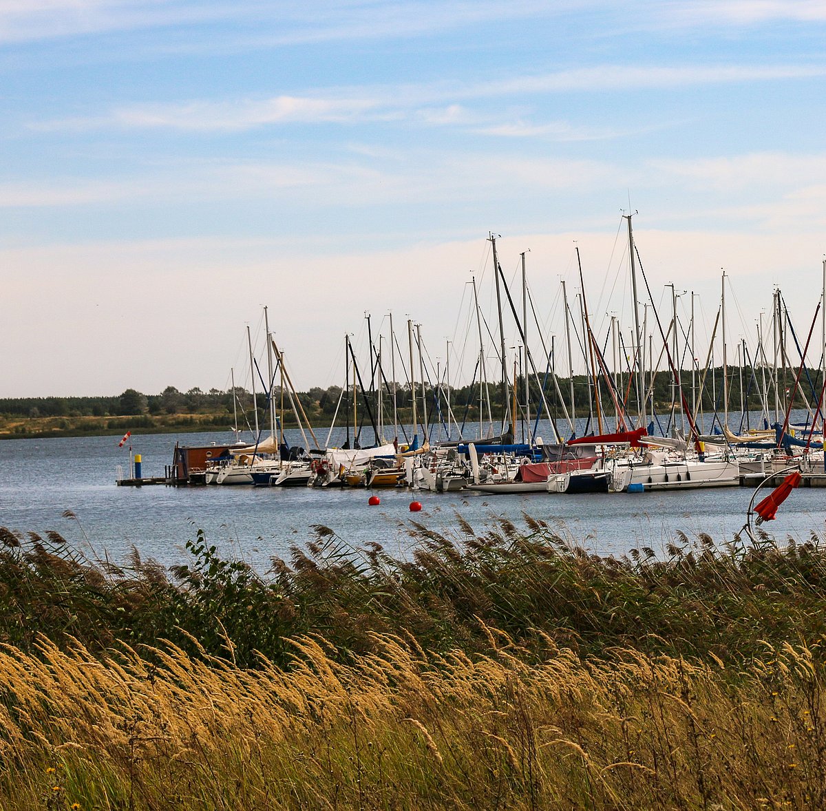 Bateaux à voile à un quai sur un lac près de Bitterfeld-Wolfen